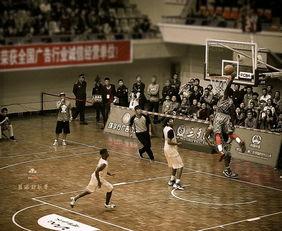 篮球明星打篮球,传奇球星篮球技艺全解析