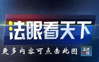 河北公共娱乐频道回放,欢乐时光再现