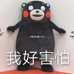 网红可以在哪找到,揭秘网红们的秘密基地